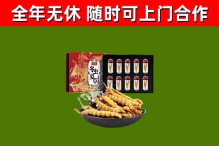 佛冈回收冬虫夏草价格